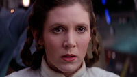 Leia19.jpg
