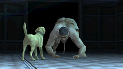 BrownStrayDog