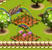 Crops and care