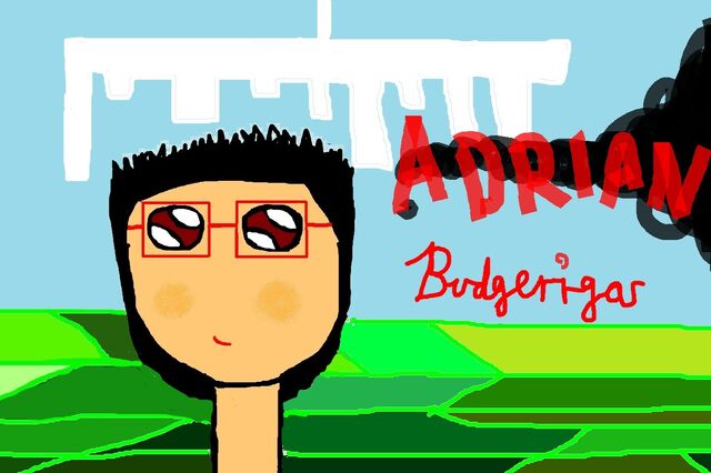 File:New Adrian Budgerigar.jpg