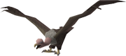 Vulture