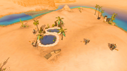 Camel Warrior island