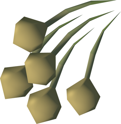 File:Onion seed detail.png