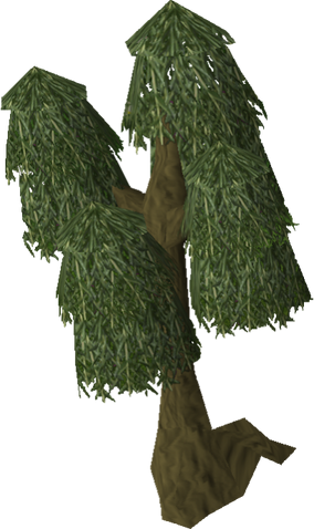 File:Willow tree old.png