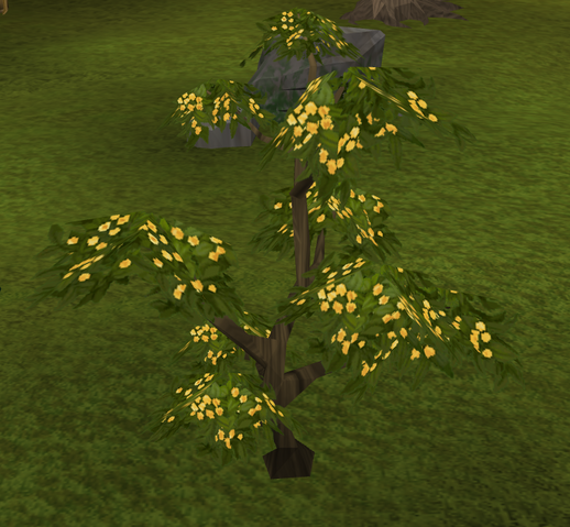 File:Neverberry bush.png