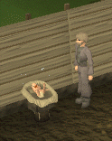 Meeting History Baby.gif