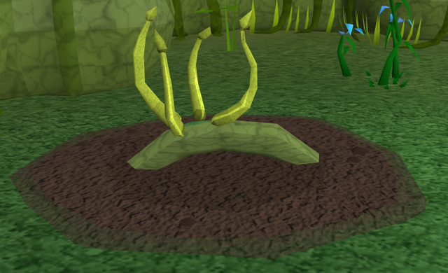 File:Blue vine blossom3.png