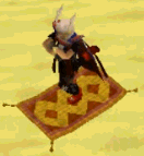 Carpet run.gif