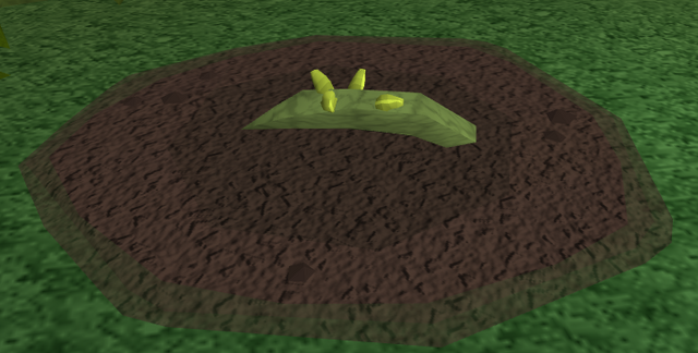 File:Red vine blossom1.png