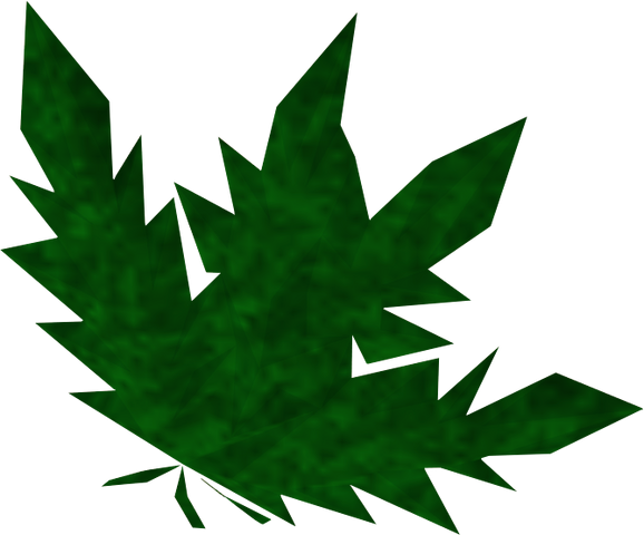 File:Clean dwarf weed detail.png