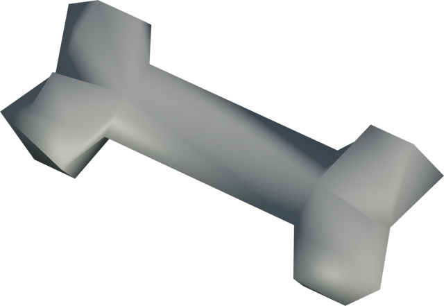 File:Polished experiment bone detail.png