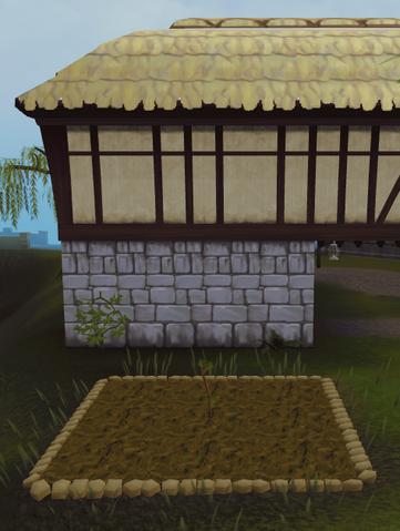 File:Oak1.png