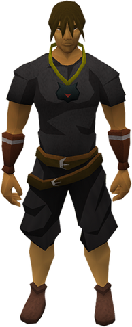 File:Catspeak amulet (e) equipped.png