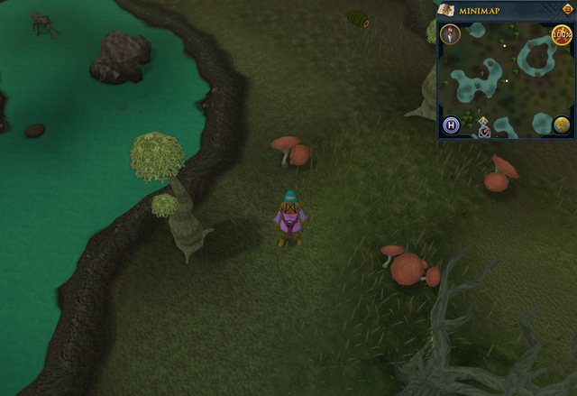 File:Scan clue Haunted Woods south-west of lake containing island.png