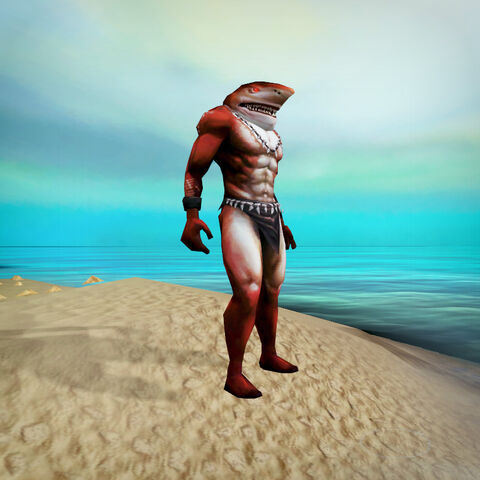 File:Shark outfit news image.jpg