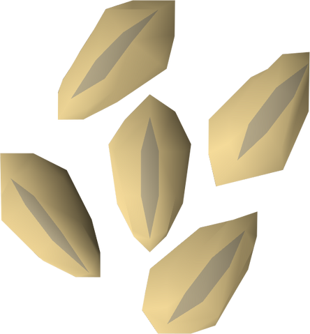 File:Barley seed detail.png