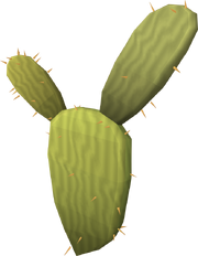 Kharidian cactus (Healthy)