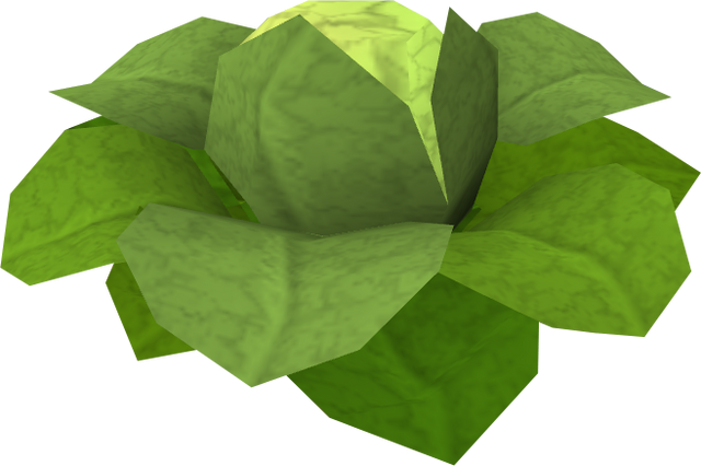 File:Brassica.png