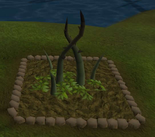 File:Barberry4.png