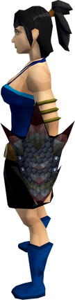 File:Black dragonhide shield equipped.png