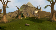 Ferret hunter area