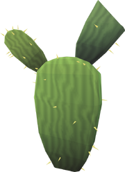 Kharidian cactus (Dry)