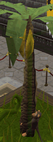 File:Monkey Museum.gif