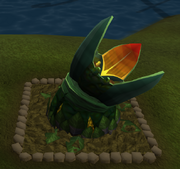 Wishing well6