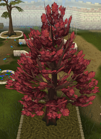File:Maple8.png