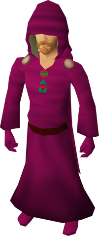 File:H.A.M. robes equipped.png