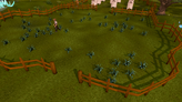 Seer's Village flax field