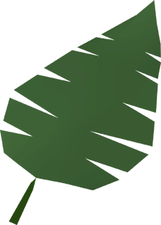File:Palm leaf detail.png