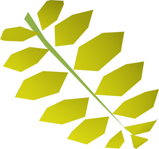 File:Curry leaf detail.png