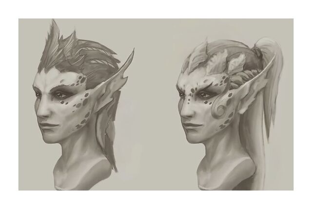 File:Female Elf Concept Art.jpg