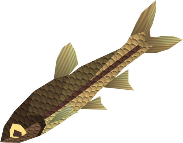 File:Minnow detail.png