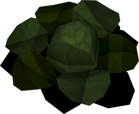 File:Ancient cabbage detail.png