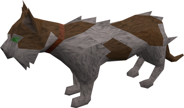 File:Wily cat (white and brown) pet.png