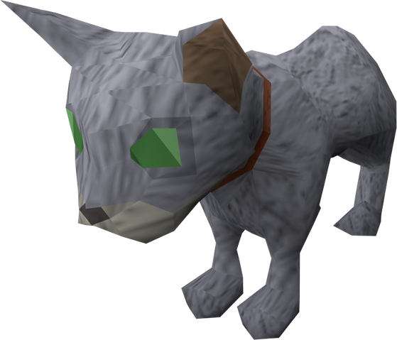 File:Bones (the kitten).png