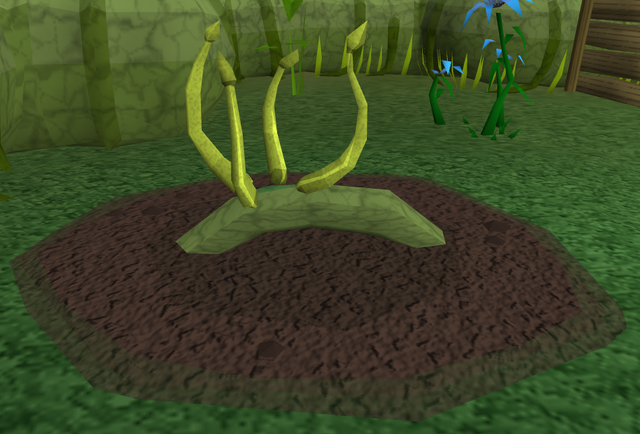 File:Red vine blossom3.png