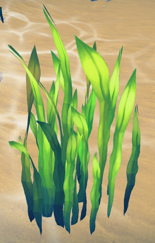 File:Seaweed (Aquarium) built.png