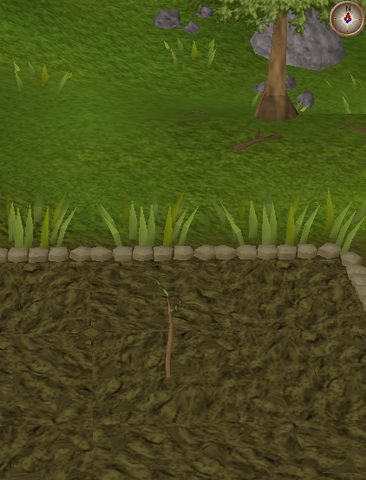 File:Spirit tree1.png
