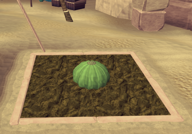 File:Potato cactus2.png