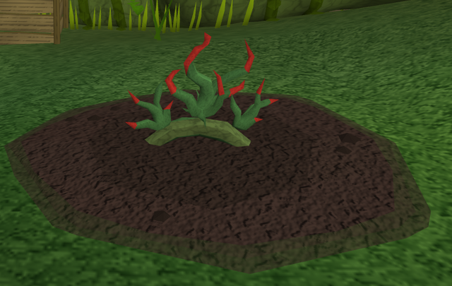 File:Vine herbs5.png