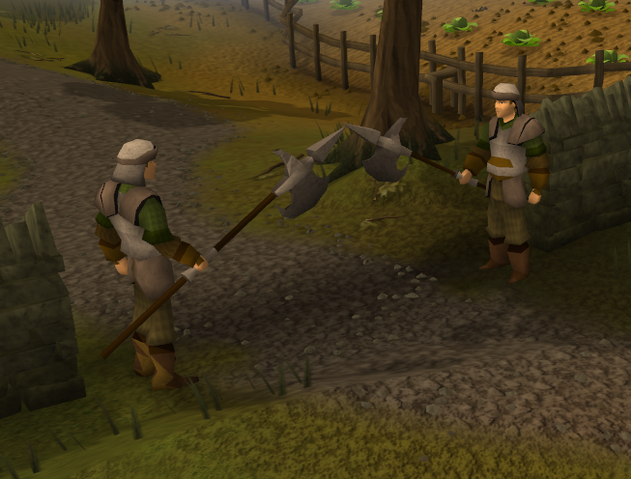 File:Starterarea guards.png