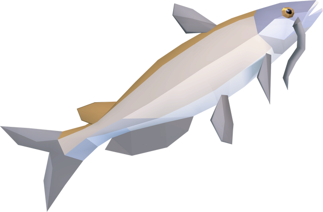 File:Raw catfish detail.png