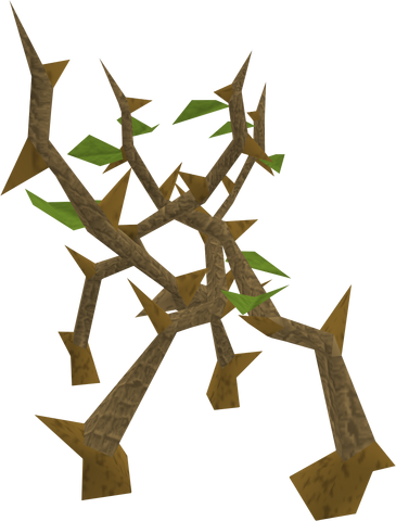 File:Light jungle.png