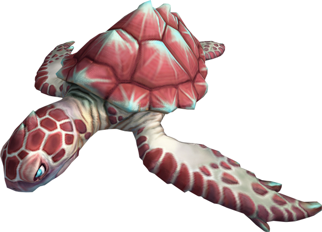 File:Raw sea turtle detail.png