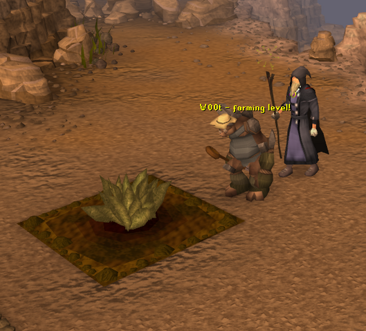 File:My Arm Gains Farming.png