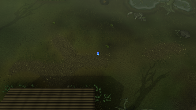 File:PHAS Lumbridge Swamp.png
