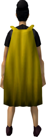 File:Fremennik cloak (gold) equipped.png